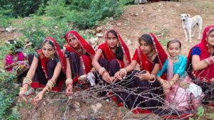 (नया चेण्डा में नारी शक्ति द्वारा #हरियाली तीज त्यौहार मनाया गया हैं)
यह उत्सव महिलाओं का उत्सव है। सावन में जब सम्पूर्ण प्रकृति हरी ओढ़नी से आच्छादित होती है उस अवसर पर महिलाओं के मन मयूर नृत्य करने लगते हैं। वृक्ष की शाखाओं में झूले पड़ जाते हैं। सुहागन स्त्रियों के लिए यह व्रत बहुत महत्व रखता है। आस्था, उमंग, सौंदर्य और प्रेम का यह उत्सव शिव-#पार्वती के पुनर्मिलन के उपलक्ष्य में मनाया जाता है। इच्छित वर और अखंड सौभाग्य के लिए मनाया जाता है। चारों ओर हरियाली होने के कारण इसे हरियाली तीज कहते हैं। इस अवसर पर महिलाएं झूला #झूलती हैं, घुंगरी मातर, लोकगीत गाती हैं और आनन्द मनाती हैं।
